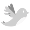 Follow Cadence Marketing on Twitter